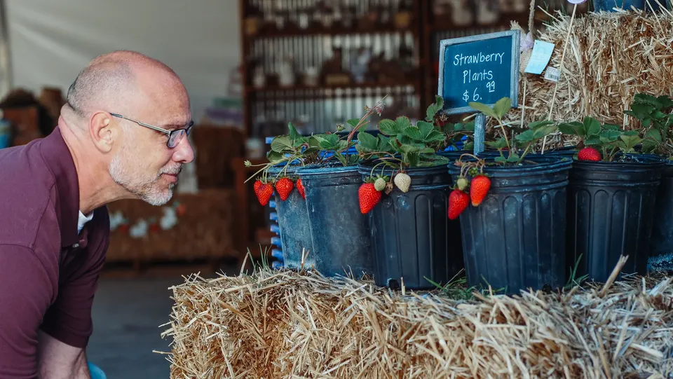 Serving the Semi-Rural Community of Anmore — Anmore, BC